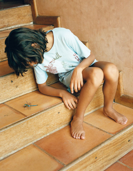 "Libellule bleue (Blue Dragonfly) (Aeshna Cyanea)", Yto Barrada (détail)