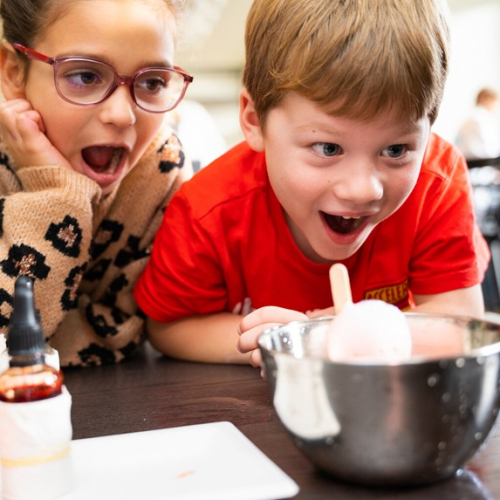 Les Savants Fous Nantes : expérience