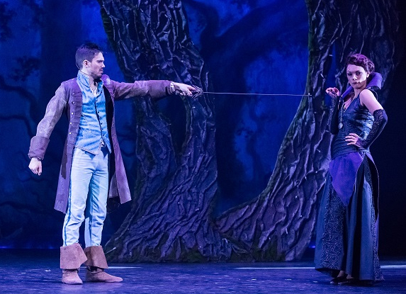 Raiponce et le prince aventurier - Guillaume Bauchède