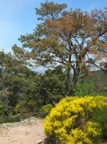 Maison de la Réserve Naturelle des Gorges de la Loire