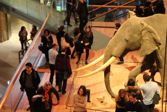 Nuit au musée au Muséum de Paris : 5