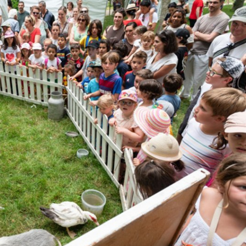 Festi'Nature et Marché des Enfants à Blagnac