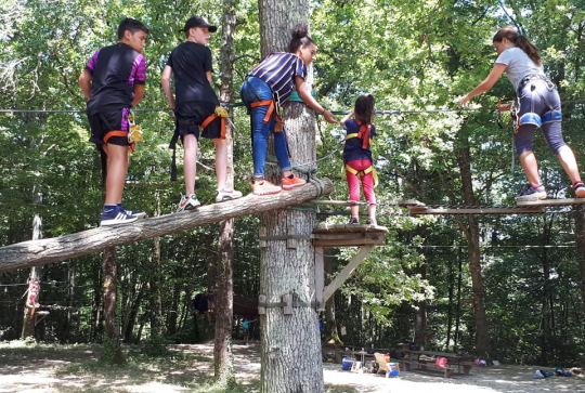 Le Lac aux Branches - 2019