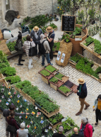 Fête des plantes au Mucem