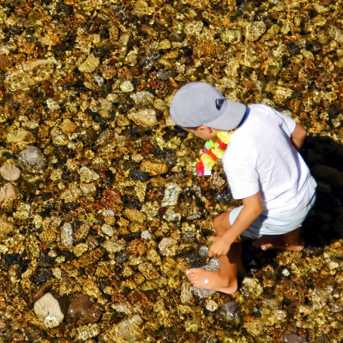 Les enfants jouent à la plage