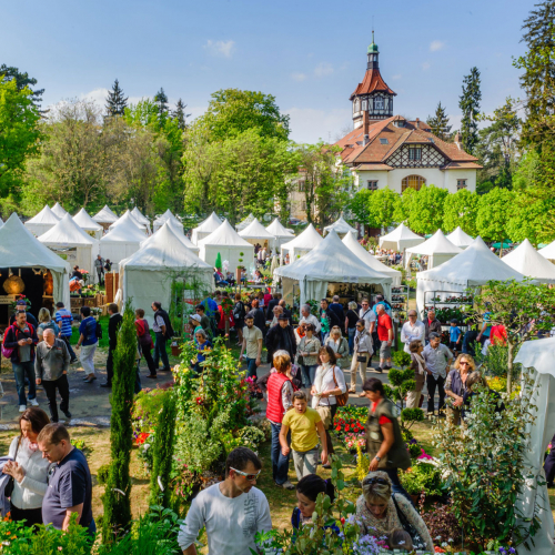 Marché aux Plantes de Mulhouse