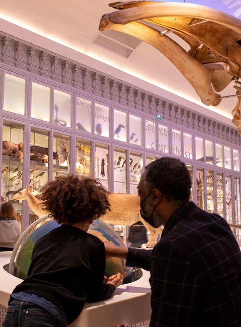 Père et son fils au Muséum de Bordeaux