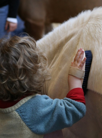 Poneys et voltige au Salon du Cheval