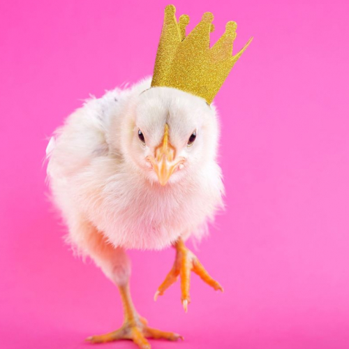 La Fête de l'enfant au Théâtre de la Ville