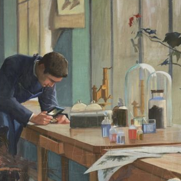 Du savoir à la lumière