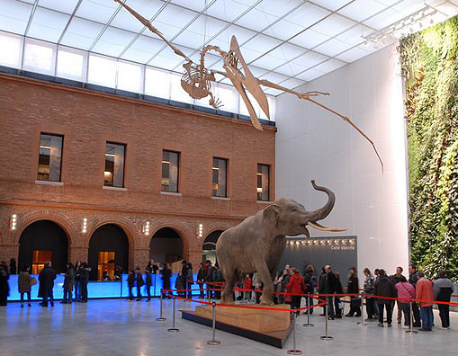 Museum de Toulouse