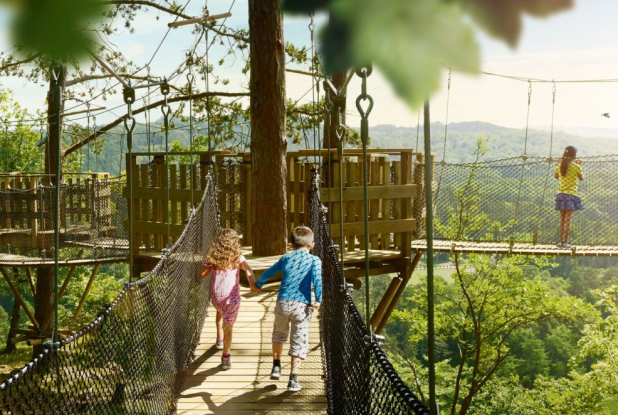 Parc animalier de Han - Ponts suspendus du sentier pédestre