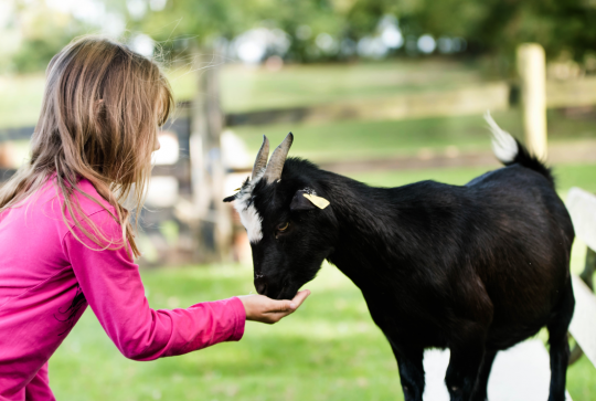 Fermes pédagogiques Strasbourg
