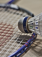 Badminton Club Barbey (BCB)