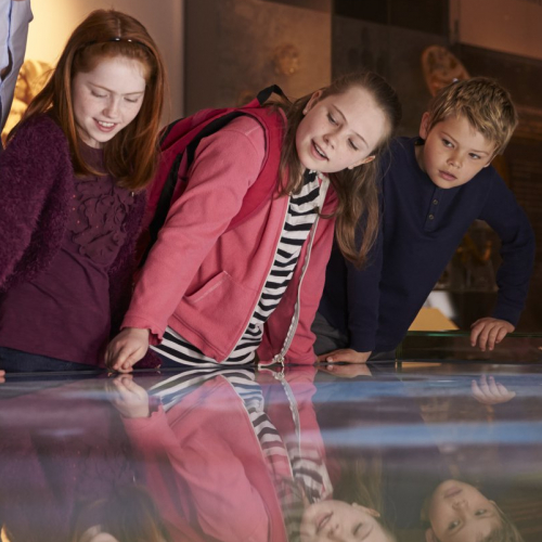 Préau des Accoules - Nuit des Musées 2019