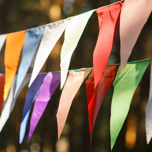 Festival Poils de Carottes