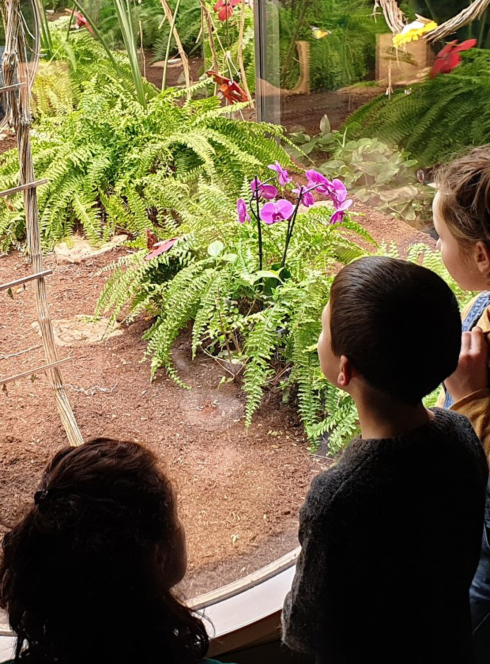 Les vacances à Micropolis