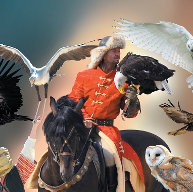 Les aigles des remparts à Provins