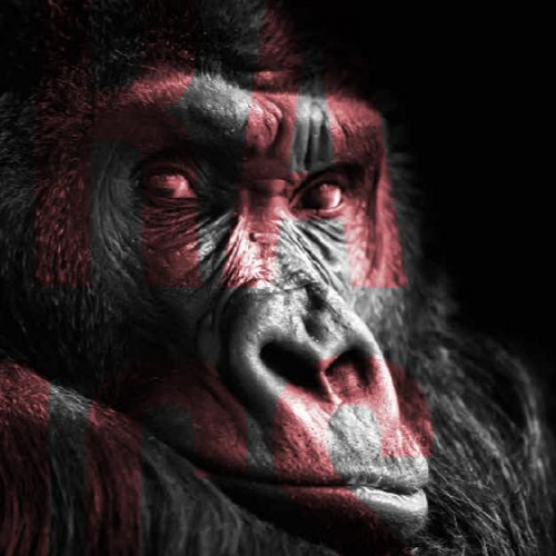 Exposition Trafics !