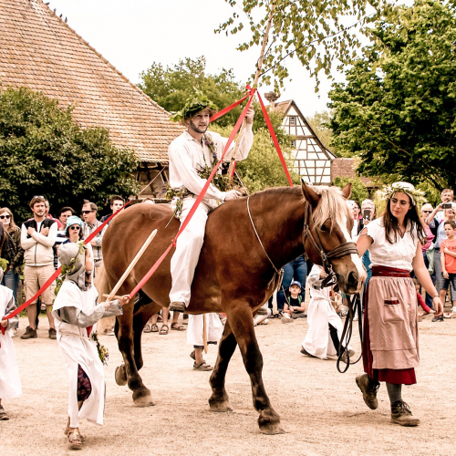 Feuillu de Pentecôte Ecomusée d'Alsace