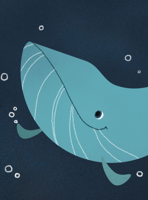 Le retour de la baleine au Musée des Confluences