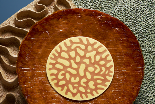 Galette des rois 2026 pain perdu - Pierre Hermé