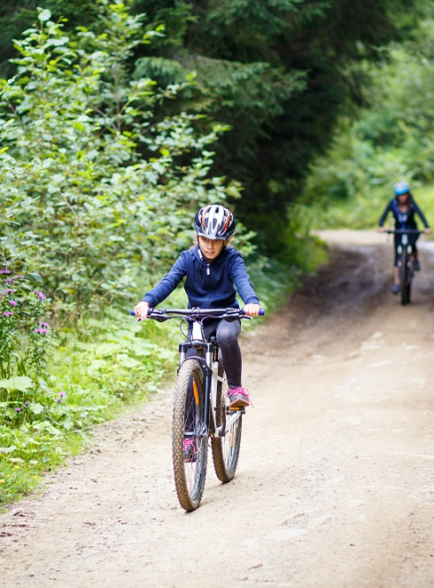 Balades à vélo à Fontainebleau (Paris) en famille en forêt