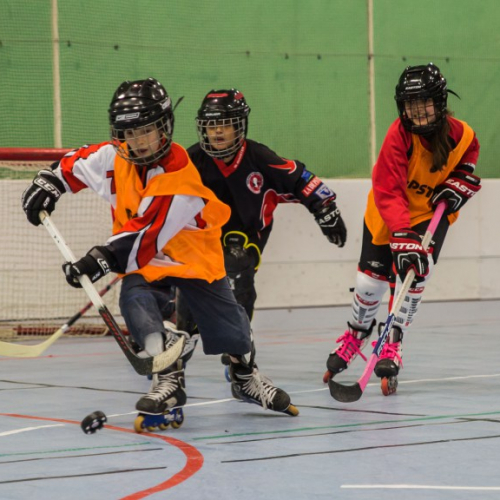 Toulouse Roller Hockey Club