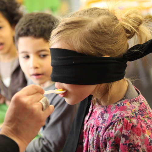 À la découverte des Sens