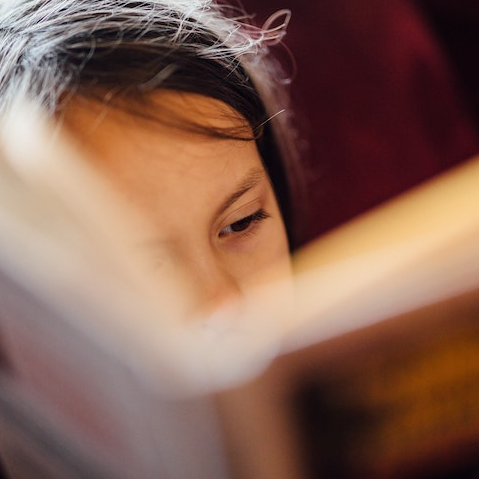 Wikipolis : lecture enfant