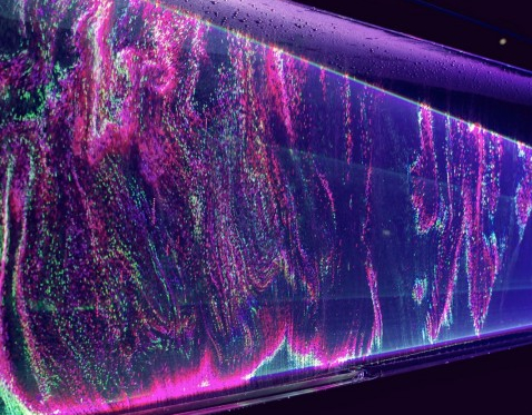 Evelina Domnitch et Dmitry Gelfand HYDROGENY