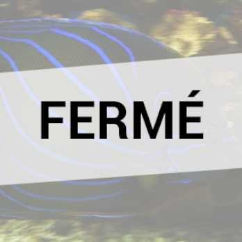 Aquarium tropical des Pyrénées - FERMÉ