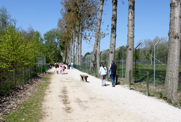 Parc des felins : promenade
