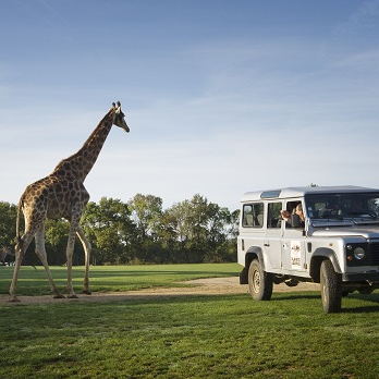 Planète Sauvage - Safari Excellence