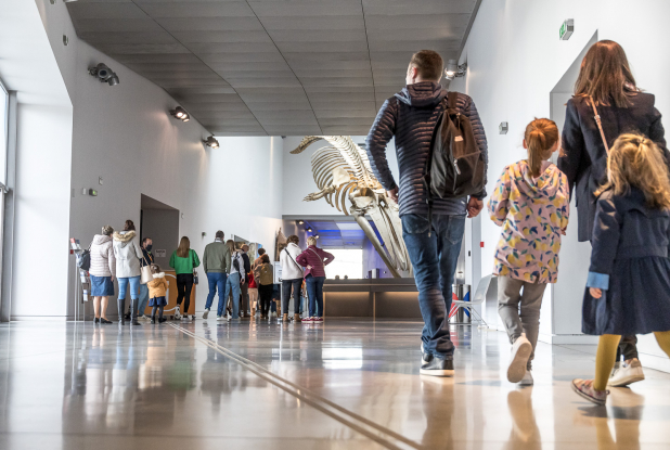 Musée des Confluences : Visite en famille