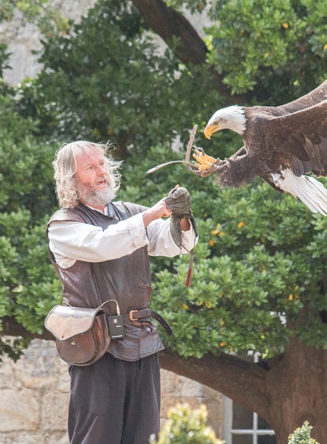 Journée médiévale au château de Vincennes