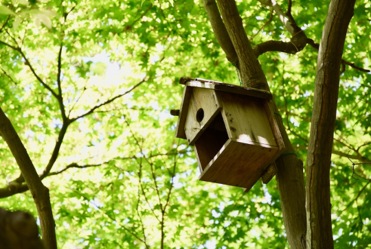 Bricolage : fabriquez une cabane à oiseaux avec les enfants - Nichoir en cagette