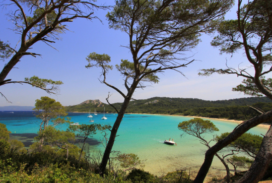 Plage de Porquerolles