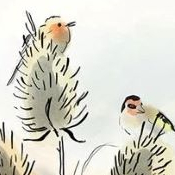 Affiche à vol d'oiseaux