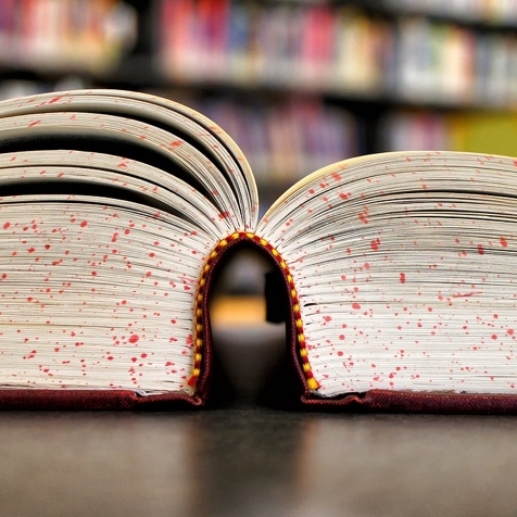 Passeurs d'Histoires au Muséum de Toulouse