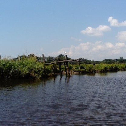 Parc naturel régional de Brière