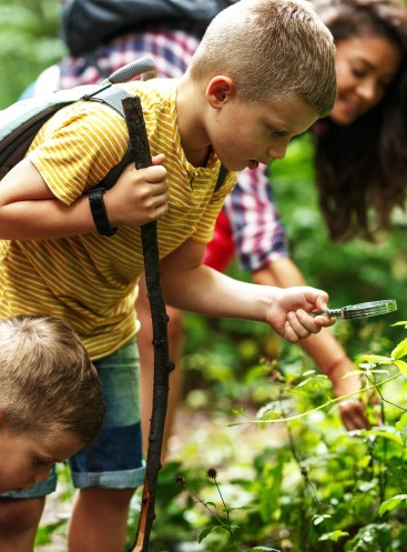 Activités nature pour les enfants