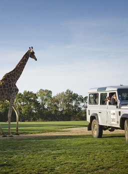 Planète Sauvage - Safari Excellence