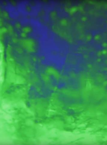 Atelier parent-enfant à l'Espace Le Carré