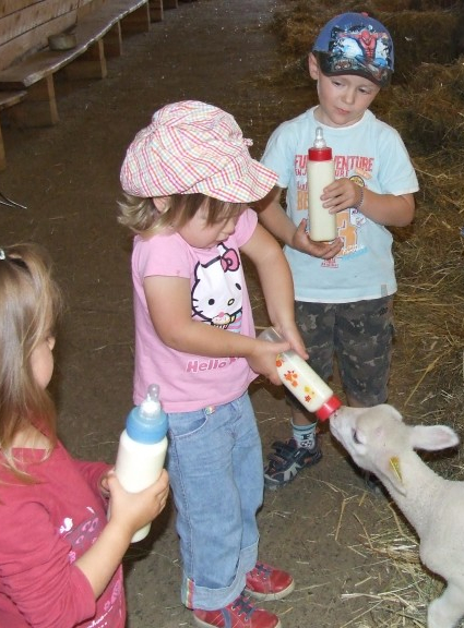 La Ferme de Pâquerette