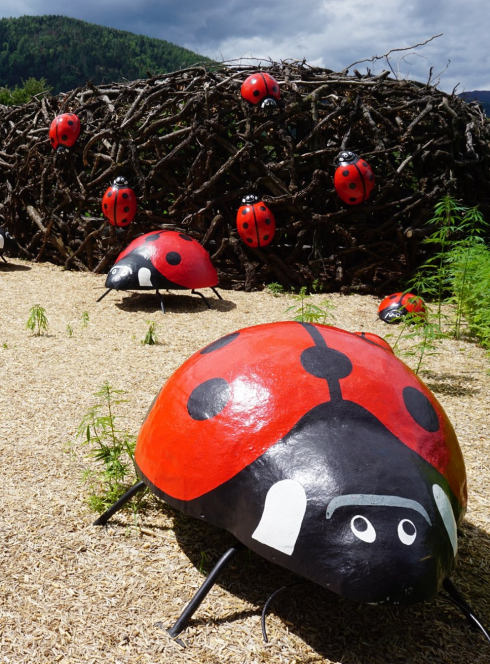 Jardins métissés Parc de Wesserling