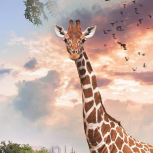 Planète Safari Lodge : dormez dans la savane en famille à Planète Sauvage