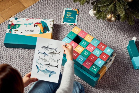 Calendrier de l'Avent - Juniqe