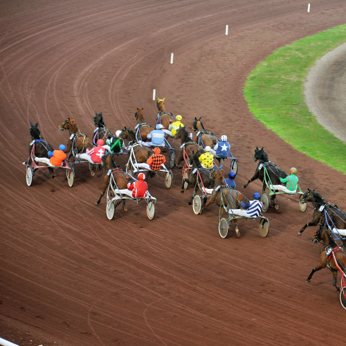 Hippodrome  de Lyon Carré de Soie