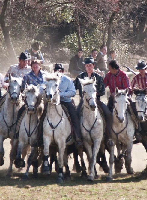 Journée nationale du Cheval Vendargues